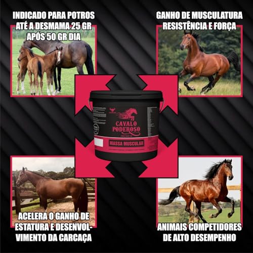 Sócoxo Mix Cavalo Poderoso Massa Muscular Para Potros Equinos Cavalos Crescer Forte Saudável Manga L