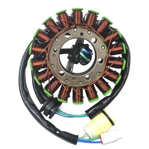 Bobine d'allumage de stator Raptor 700 Édition Spéciale haute qualité
