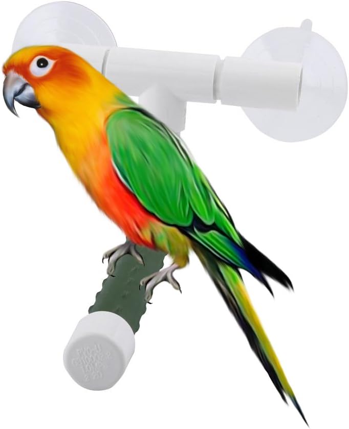 Parrot Bath Perch,Bird Perches Parrot Budgie Foldable