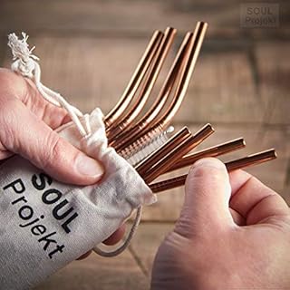 Soul Projekt 8X Metal Stainless Steel Drinking Straws, Reusable Straw with 2 x Cleaning Brush and Pouch, Eco Friendly (Rose Gold)