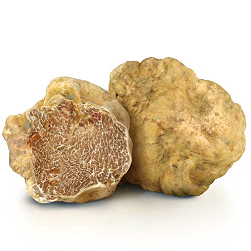 Frische Weisse Trüffel (tuber magnatum pico) Cover