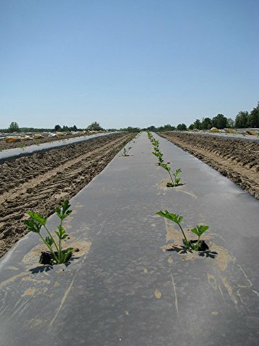 BioDegradable Plastic Mulch Film - Black - Eco-One OXO - 4 ft. X 600 ft. - .5 Mil Thick - By...