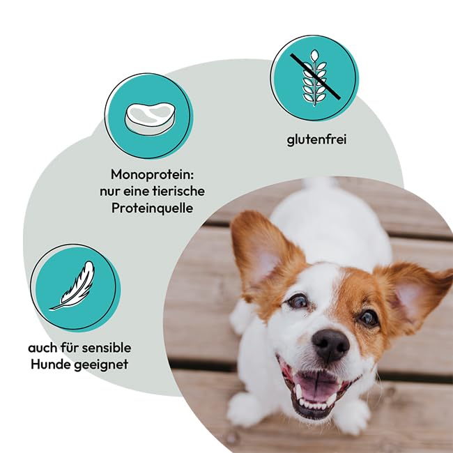 GRAU – das Original – Nassfutter für Hunde - Lamm mit Vollkornreis, 6er Pack (6 x 800 g), Monoprotein, glutenfrei, für erwachsene Hunde