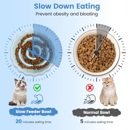 IDOGCHEW Keramik Anti Schling Napf Katze Erhöht, Slow Feeder Nassfutter, sehr gut rutschfest, einfach zu reinigen, Antischlingnapf für Katzen und kleine Hunde (Hellgrün)