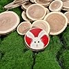 BYHER Natural Wood Slices for Crafts, 1.2"-2.5" Mini Assorted Unfinished Wood Tree Bark Round Log Discs for Arts & Crafts Christmas Ornaments Wedding Centerpieces (Assorted Size - 8OZ) #2