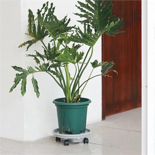 Porte plante à roulettes et support de pot de fleur mobile intérieur - 6