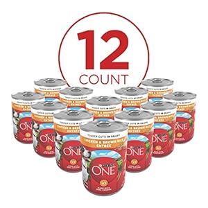 Purina ONE Tender Cuts in Wet Dog Food Gravy Chicken and Brown Rice Entree Pack of 12 13 oz Cans