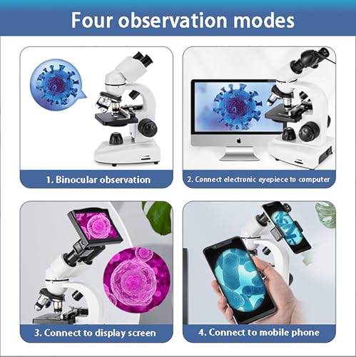 Microscope à composé binoculaire incliné à 45 pour observer les cellules en classe