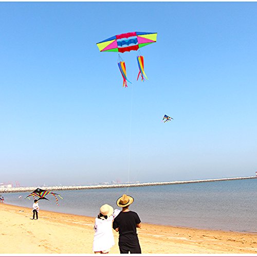 Besra Huge 98inch Single Line 3D Radar Kite with Flying Tools 2.5m Power Box Kites with 2 Windsock Tails Outdoor Fun Sports for Adults (windsock)