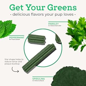 Dr Josephs vetpro complete advanced dental sticks with prebiotics 15 sticks cleans teeth freshens bad breath and supports gut health target tartar and plaque build up veterinarian formulated   cucciolini doodles