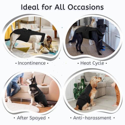 Image of Lelepet Female Dog Diapers with Suspenders, Washable & Reusable Black L | Adjustable and absorbent dog diapers for heat cycles, incontinence, and senior dogs. Comfortable all-day fit. Pet panties