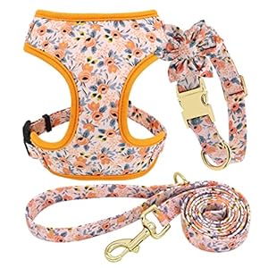Beirui Cute Girl Dog Collars, Harnesses & Leashes Set – Adjustable Dog Collar and Leash Set with Flower – Soft Mesh Dog Vest Harness for Puppies Small Medium Dogs (Orange,XS)