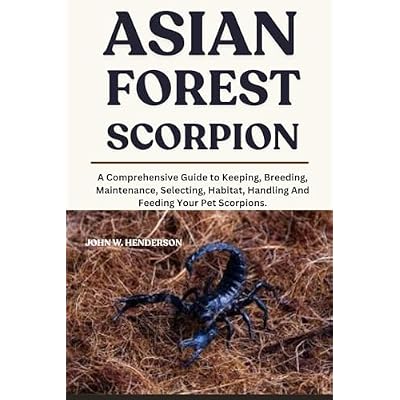 ASIAN FOREST SCORPION