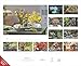 Alpha Edition - Blumensplendour 2026 - Wall Calendar 52 x 42.5 cm with 12 Brilliant Flower Motifs, High-Quality Flower Calendar for Living Room, Kitchen & Office, Ideal Gift for Nature & Garden Lovers