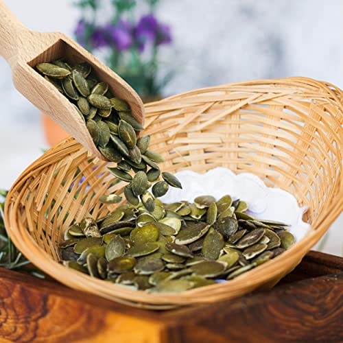 Dalia - Steirische Kürbiskerne BIO 500 g | roh und unbehandelt | Hochwertige Kerne aus der Steiermark | Glutenfrei | 100% Bio-Qualität