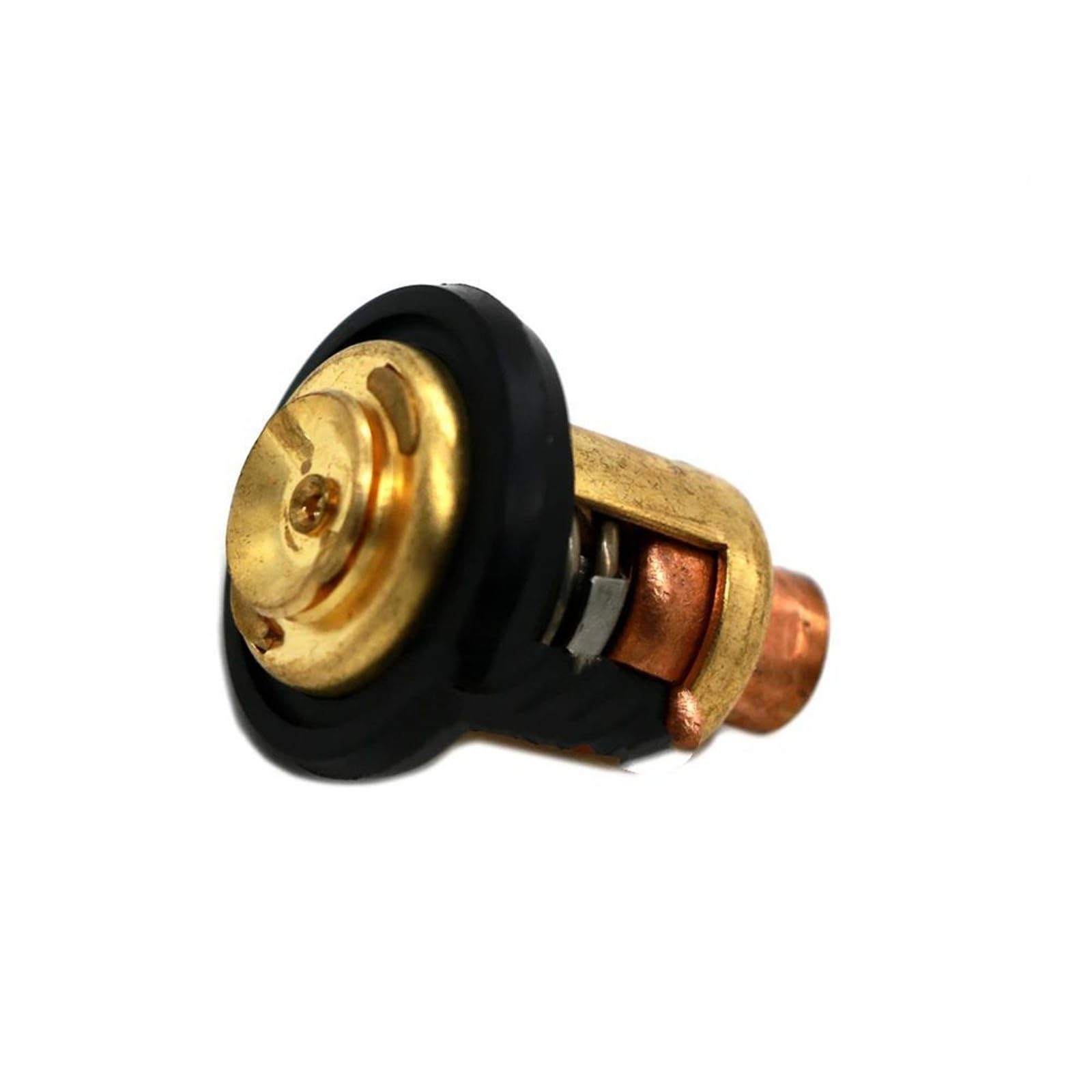 AYZLGAA For Yamaha 4 Stroke 2.5hp 4hp 8hp 15hp 30hp 40hp 50hp 60hp 70hp 80hp Thermostat 66m-12411-00 66m-12411-01-00 6g8-12411