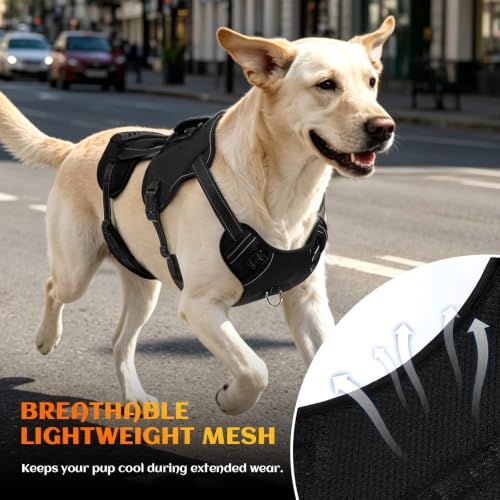 Image of NOYAL Dog Lift Harness, 2-in-1 Support Sling for Senior & Injured Dogs