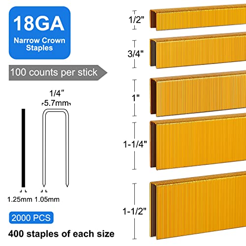 Simcos 18 Gauge 1/4" Narrow Crown Staples (1-1/2",1-1/4" 1", 3/4", 1/2"), Galvanized Assorted 2000 Counts,Project Pack #TOP1