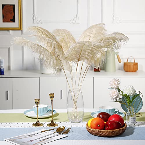 Ballinger Champagne Ostrich Feathers Bulk - Making Kit 10Pcs 28 Inch Large Boho Feathers For Vase, Floral Arrangement, Wedding Party Centerpieces And Home Decor #TOP1