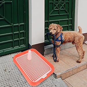 Ipetboom Dog Potty Tray Dog Training Toilet 1 Pc Pee Pads for Dogs Puppy Pee Pad Mesh Training Toilet Pet Toilet Train Potty Dog Litter Box Cucciolini Doodles Ipetboom dog potty tray dog training toilet 1 pc pee pads for dogs puppy pee pad mesh training toilet pet toilet train potty dog litter box cucciolini doodles