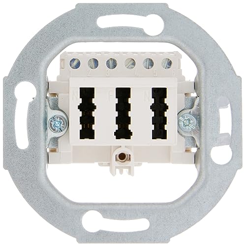 Berker Presa Tae pws 450009