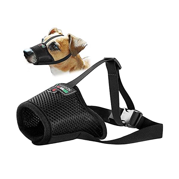 air muzzle for dogs