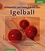 Produktbild Schmerzfrei und beweglich mit dem Igelball. Das erfolgreiche Übungsprogramm für zu Hause