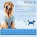 Knafe Recovery Suit for Dogs After Surgery – Breathable Dog Onesie Cone Alternative, Anti-Licking Surgical Suit for Spay Neuter Wounds, Comfortable E-Collar Replacement for Male & Female Dogs