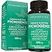 Viva Naturals Pycnogenol - 100mg French Maritime Pine Bark Extract – Supports Circulation, Antioxidant-Like Activity, Joints & Immune Health and Function – 60 Veggie Capsules