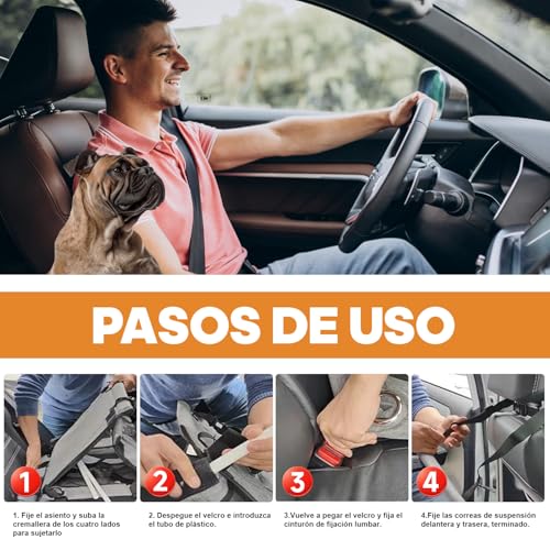 Mascotas, Imagen adicional