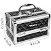 SHANY Chic Makeup Train Case Cosmetic Box Portable Makeup Case Cosmetics Beauty Organizer Jewelry storage with Locks, Multi trays Makeup Storage Box with Makeup Mirror - Black