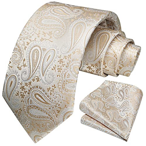 Image of HISDERN Ties for Men Paisley Floral Tie Handkerchief Classic Woven Business Formal Necktie and Pocket Square Set Wedding