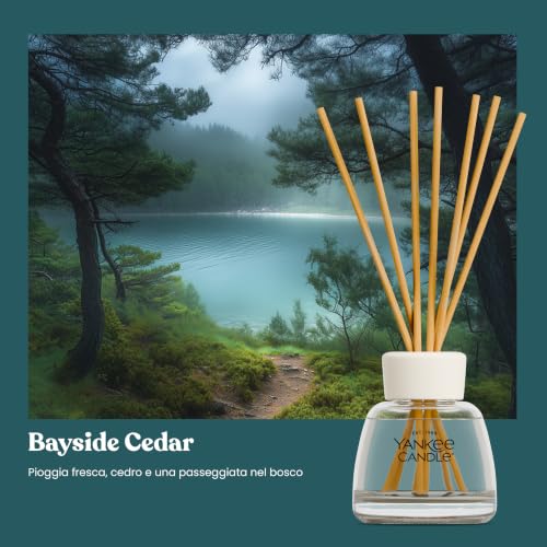 Yankee Candle Diffusore a Bastoncini | Bayside Cedar | Per spazi piccoli e medi | Fino a 10 settimane di fragranza - Immagine 1