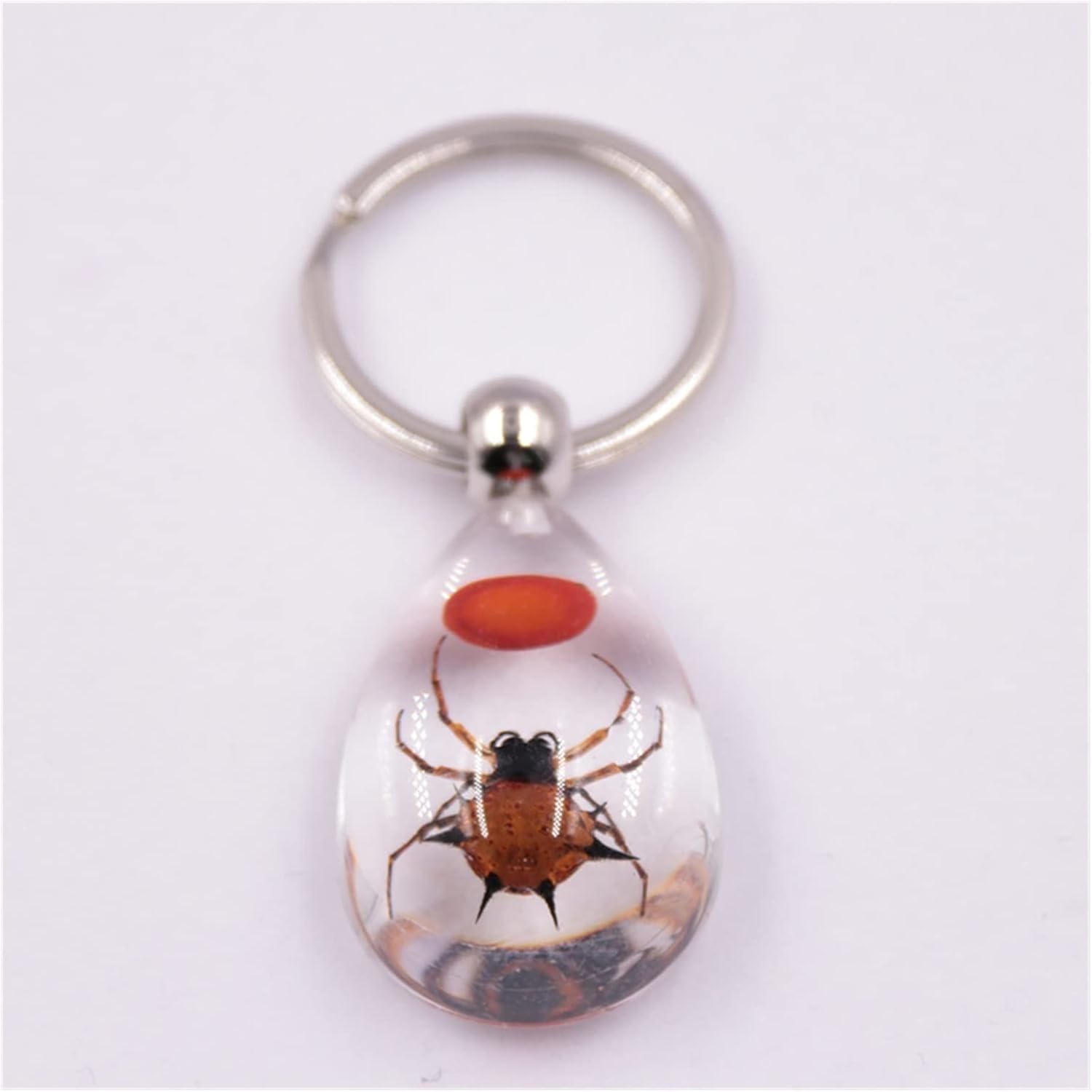 Keychain, Key Ring with Insect Keychain, Car Keychain, Insect Specimen, Party Gift Pendant (Color : C)