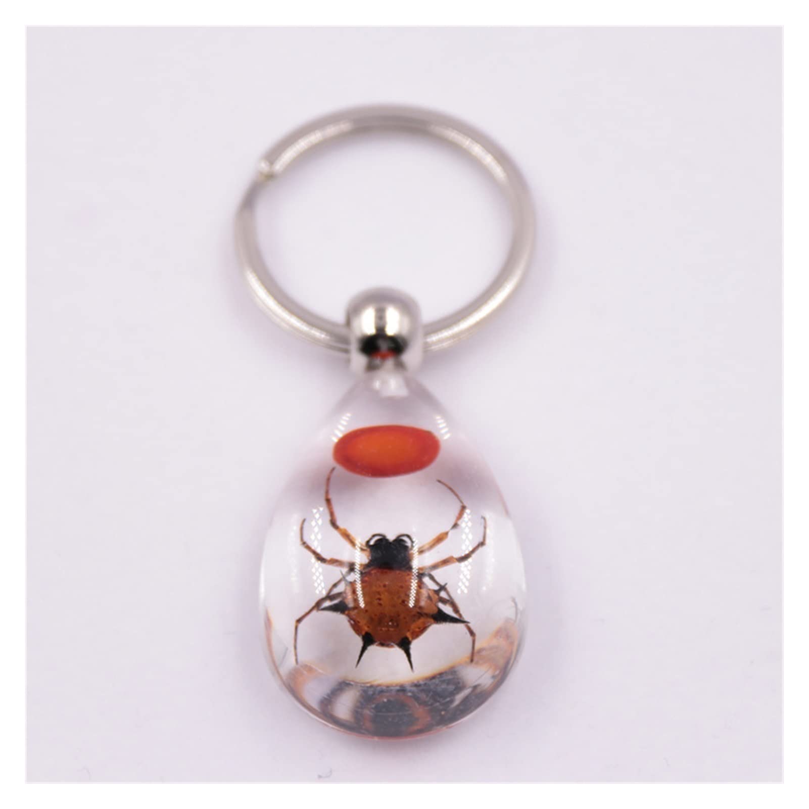Porte-clés de voiture anti-perte avec grand échantillon d'insectes colorés
