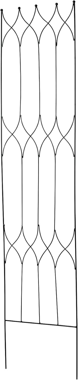 70.8 Magnolia Trellis