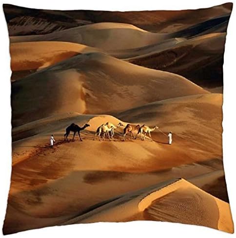 Liwa Desert - Throw Pillow Cover Case (18