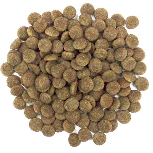 ナチュラルハーベスト メンテナンス スモール ラム ドッグフード 【5袋