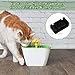 80 Pcs Cat Fountain Sponge Filter Pet Fountain Replacement Foam Filters Cat Water Filter Cat Fountain Foam Filter for Cat Pet Dogs Fountain (Black)