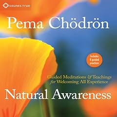 Natural Awareness Audiolibro Por Pema Ch&ouml;dr&ouml;n arte de portada