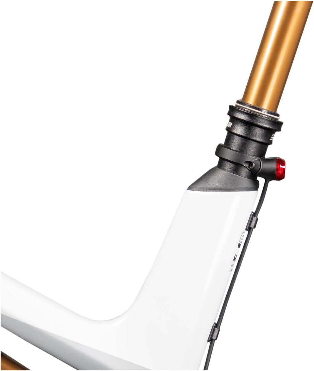 Lupine C14 SP taillight mounted on a seatpost, showing the power cable routed neatly along the bicycle frame.