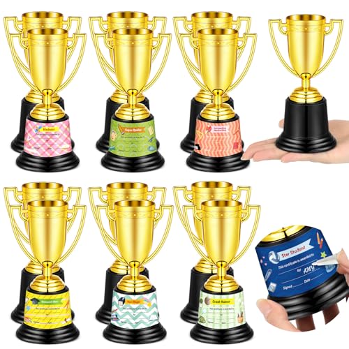 12 Pcs Bulk Mini Trophies 5.7 Inch Plastic Gold Trophy Cups with Award Certificates Stickers for Student Recognition Rewards End of Year Sports Tournament Winning Prizes Party Favor Competition Office