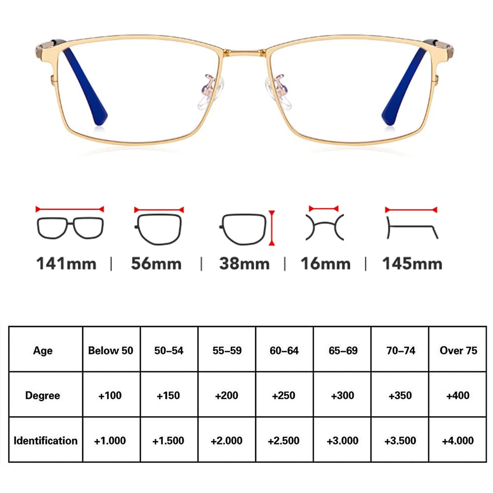 RICCIE Ultraligeras de Titanio para Hombres Gafas de presbicia, monturas Negocios de Resina asférica Lentes/Anti-radiación Gafas Lectura dioptrías +1,0 a +3,0,02,+2.75