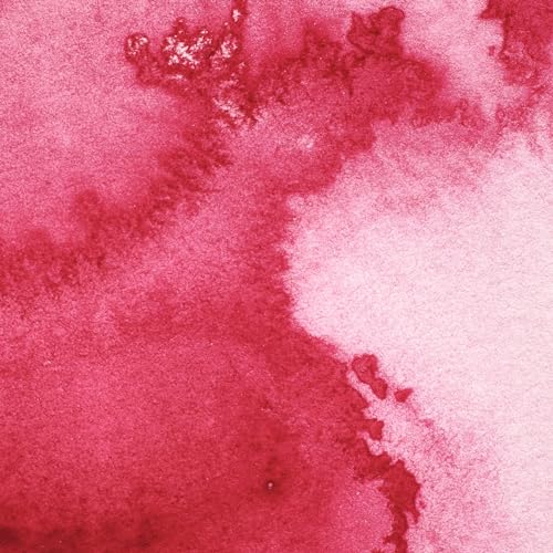 Image of Winsor & Newton Professional Water Colour 37 ML - Permanent Rose (502) - Finely Pigmented, Vibrant, Vivid & Intermixable Artists' Water Colour Paints - More Colours Available