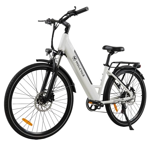 Molicycle R1 E-Bike Damen 26 Zoll Tiefeinsteiger Trekkingrad E-Cityrad mit 36V 14.5Ah Wechselakku, bis zu 110km, Hydraulische Scheibenbremsen, EU-konformes Ebike für Erwachsene