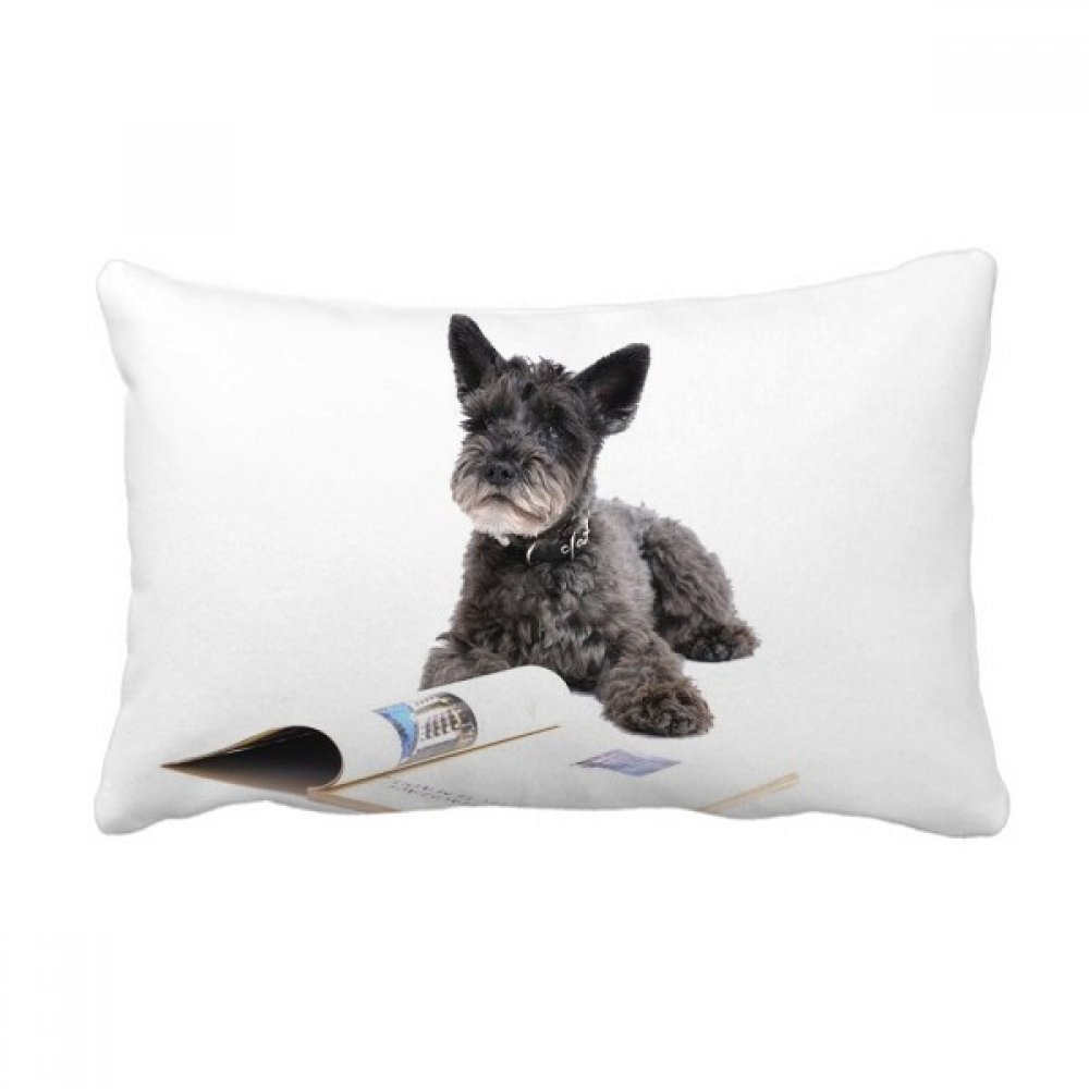 Coussin animaux photographie chien 40x60 cm oreiller lombaire décoratif pour canapé salon