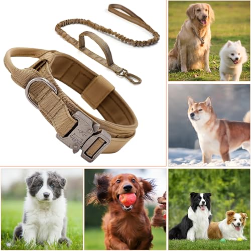Ledeak Militär-Hundehalsband mit Kommandogriff, Verstellbares Nylon-Hundehalsband mit Metallschnalle für mittlere und große Hunde (M, Braun)