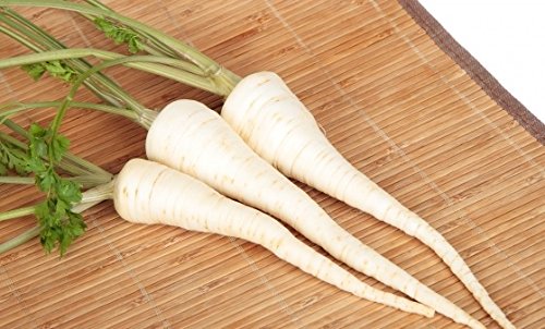 Perejil de raízBerlín - Semillas recubiertas para una siembra más fácil - semilla