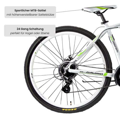 Galano Mountainbike Ravan 29 Zoll Hardtail bis 500 Euro