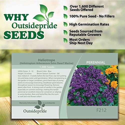 Outsidepride Heliotropium Extra Dwarf Marine Garden Plant For Containers, Pots, Boxes - 1000 Seeds #TOP4